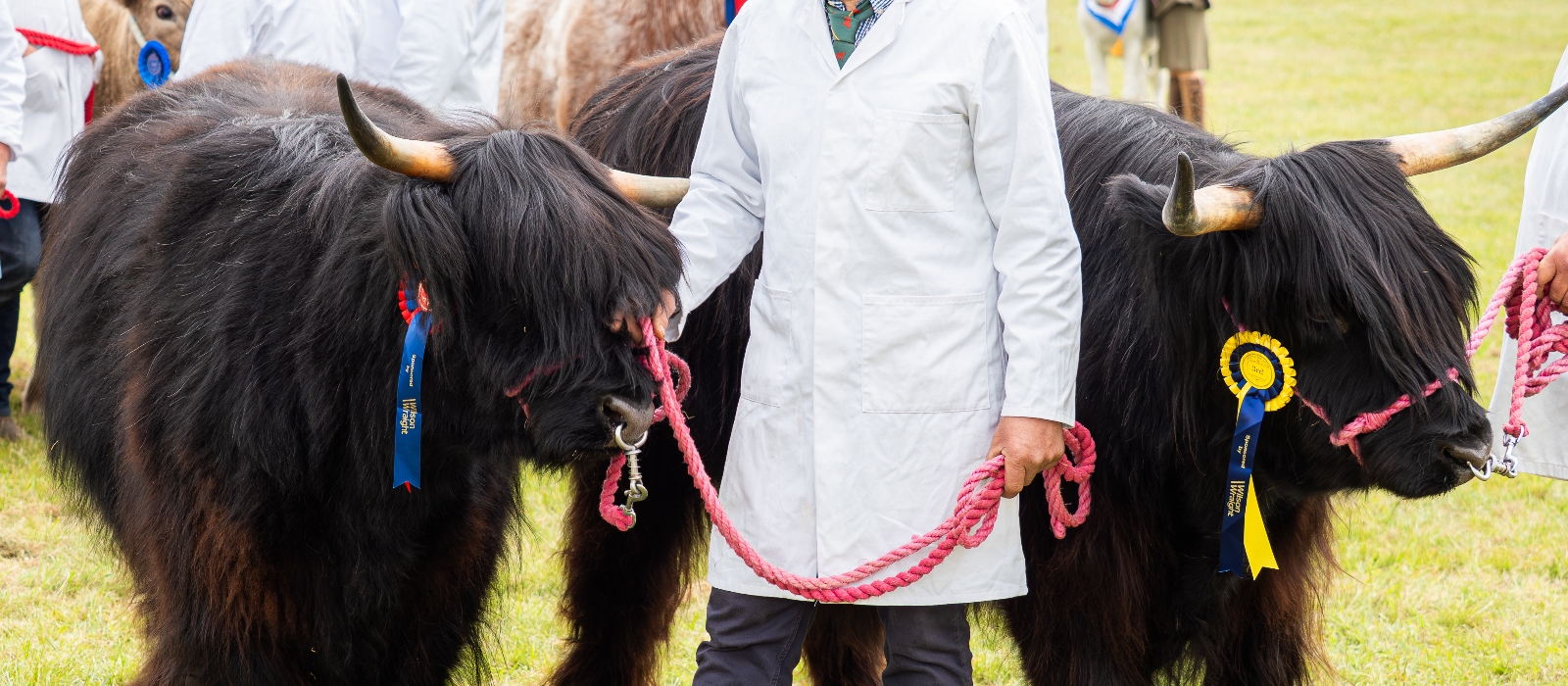 Fabulous livestock